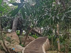 -南山植物园
