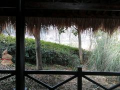 android_upload_pic-西湖茶墅