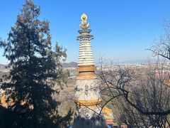-颐和园