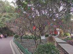 -金鸡山公园