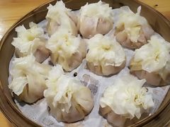 -老阿妈蒙古村·蒙古包·草原文化·歌舞表演(老君堂店)