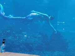 -海棠湾洲际-涛·海底餐厅·美人鱼·自助餐·海底隧道