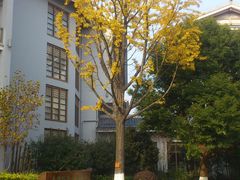 -天目湖御水温泉·度假酒店