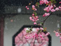 -莫愁湖公园