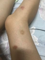 -再清椿美容