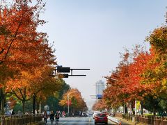 -杭州电子科技大学(下沙校区)