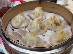 -小杨生煎(深圳岗厦北店)