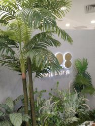 点击看大图 -八佰伴8008星级形象店