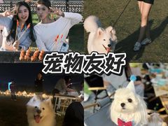 -栖露营camping·天幕烧烤·团建拓展·采摘营地