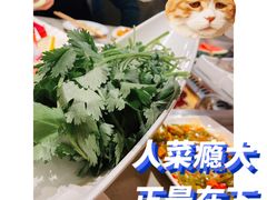 -海底捞火锅(铁西万达店)