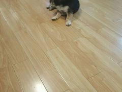 -九月鹰飞汉服摄影工作室