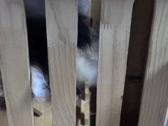 -零纪元VR体验馆·桌游(黄浦店)