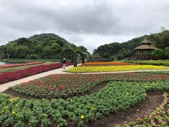 -广州市石门国家森林公园