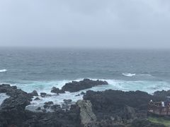 -涉地可支