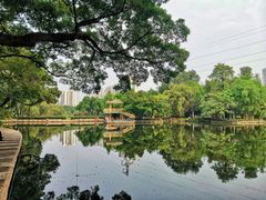 -晓港公园