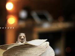 景观位-VOYAGE COFFEE(北锣鼓巷店)