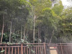 -天目湖涵田半山温泉