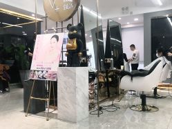 点击看大图 -V+SALON造型