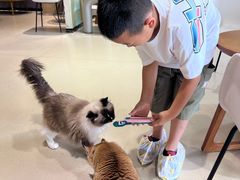 -藏猫猫咖啡主题馆(中央大道店)