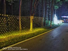 -昆山城市生态森林公园