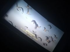 -金逸影城(中关村店)