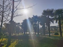 -金钉子远古世界景区