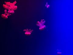 -福州罗源湾海洋世界旅游区