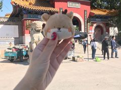 -禹城市禹王亭博物馆