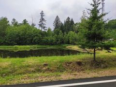 -五营红松林海景区