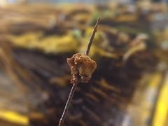 -乐山长药老地方油炸串串(峨眉四中店)