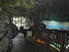 -苏州海洋馆