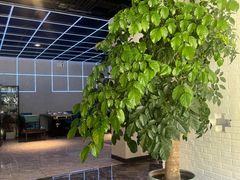 -红井路游艺炖锅·音乐餐吧(十渡店)