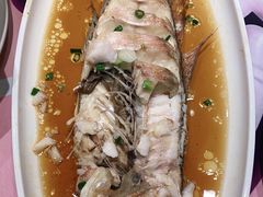 -高佳庄·舟山海鲜(海景旗舰店)