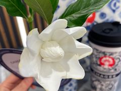 -霸王茶姬(正佳广场店)