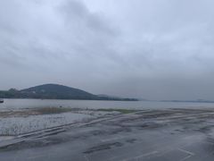 -长广溪湿地公园