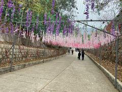 -北京十三陵国家森林公园蟒山景区