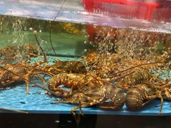 -阿伟海鲜楼·福建菜(延寿店)