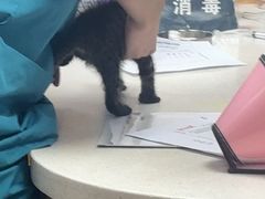 -联合动物医院(光谷诊疗中心)