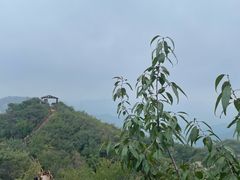 -大岭沟猕猴桃谷风景区