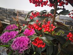 -野渡坡·极致湘菜·庭院餐厅(汉阳店)