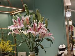 -南堂馆·新川菜(春熙路店)