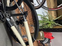 -道路口单车爱瓦士dahon大行