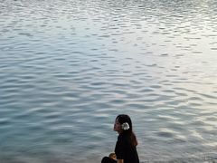 -天津金海湖