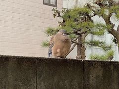 -东北人家铁锅炖(鞍山路店)