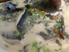 -老傅家湘潭水煮活鱼店(众一国际店)