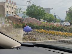 -特克斯八卦城