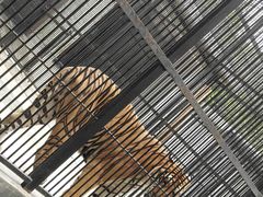 -广东茂名森林公园