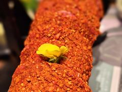 -盡膳口福跷脚牛肉火锅(晶耀前滩店)