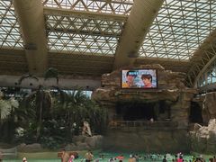 -杭州开元森泊度假乐园