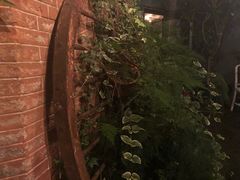 -Ocean's Table 欧舍